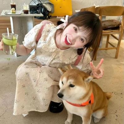 棕泉春光